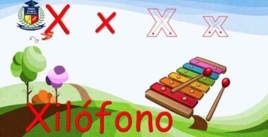 letra x