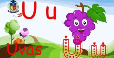 Vocal U letra u