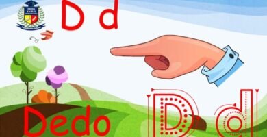 letra d