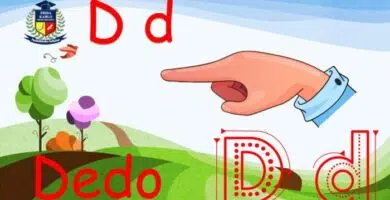 letra d